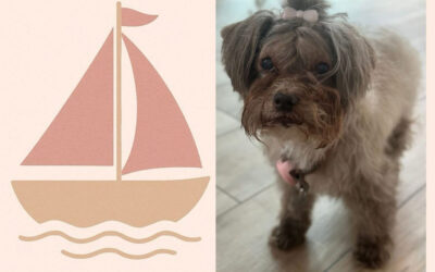 Für meine liebe Ruby