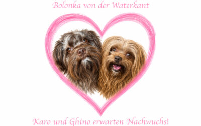 Nachwuchs in Sicht
